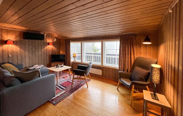 Smart-TV, Kamin