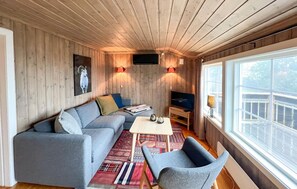 Smart-TV, Kamin