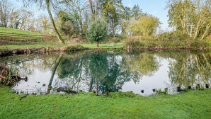 A serene pond surrounded by trees and a grassy area with a wooden fence.
