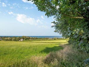 Un paisaje costero con un campo cubierto de hierba, árboles y vista al mar.