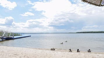 A beach with a wooden pier extending into calm water, surrounded by a clear sky and distant trees.