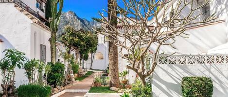 Un étroit sentier bordé de bâtiments blancs, d’un cactus et de diverses plantes.