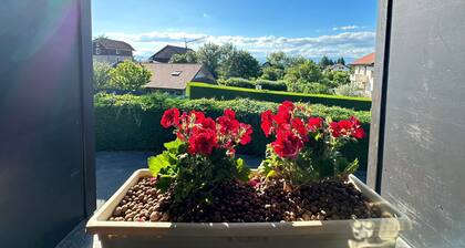 Appartement cosy au calme proche lac Léman