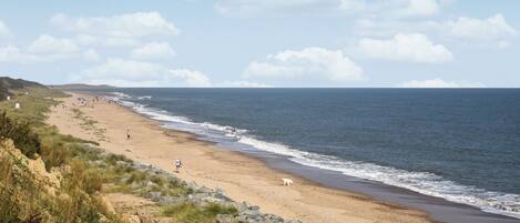 PĂȘche rĂ©crĂ©ative