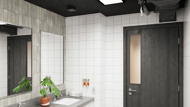 A modern bathroom with two sinks, a large mirror, and a potted plant. - Podtel (Honolulu)