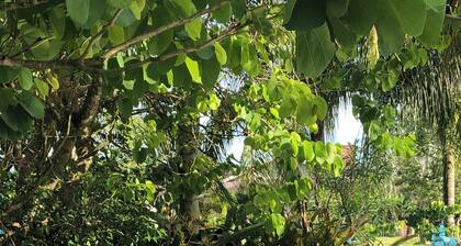 Charming cottage by a beautiful pond in awesome Homestead Redlands.