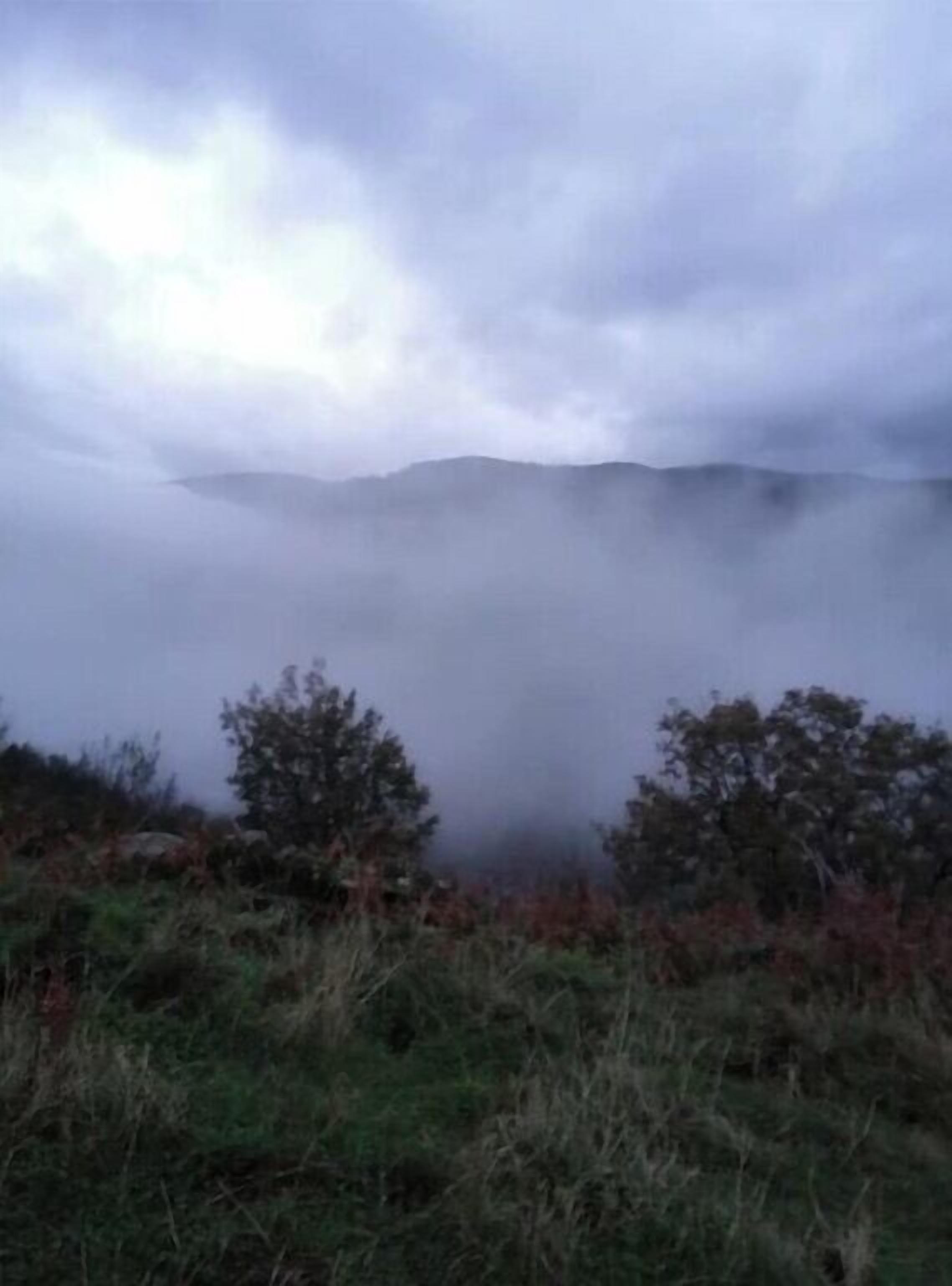 A foggy landscape with a flat horizon and dense vegetation in the foreground.