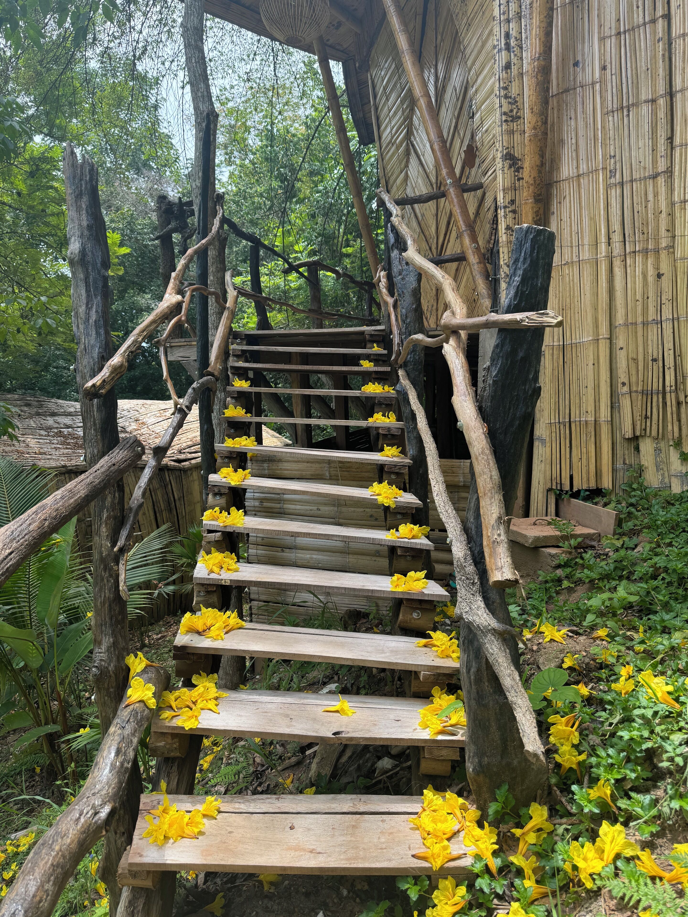 豪華小屋, 露台, 山景 | 免費 Wi-Fi
