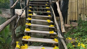 A wooden staircase with yellow flowers, surrounded by bamboo structures and greenery. - Akasha suites (Puerto Triunfo)