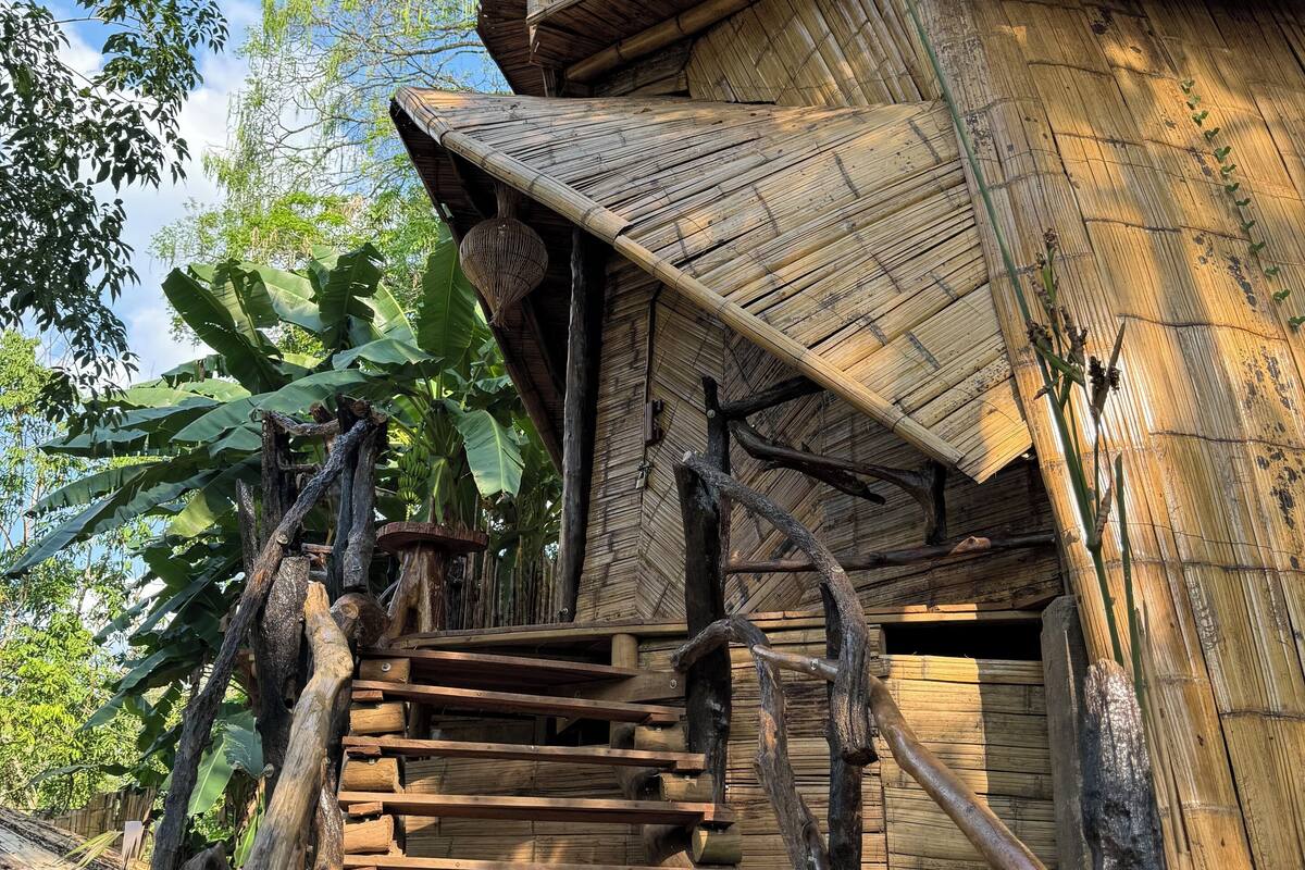A wooden staircase leading to a bamboo structure with a thatched roof.