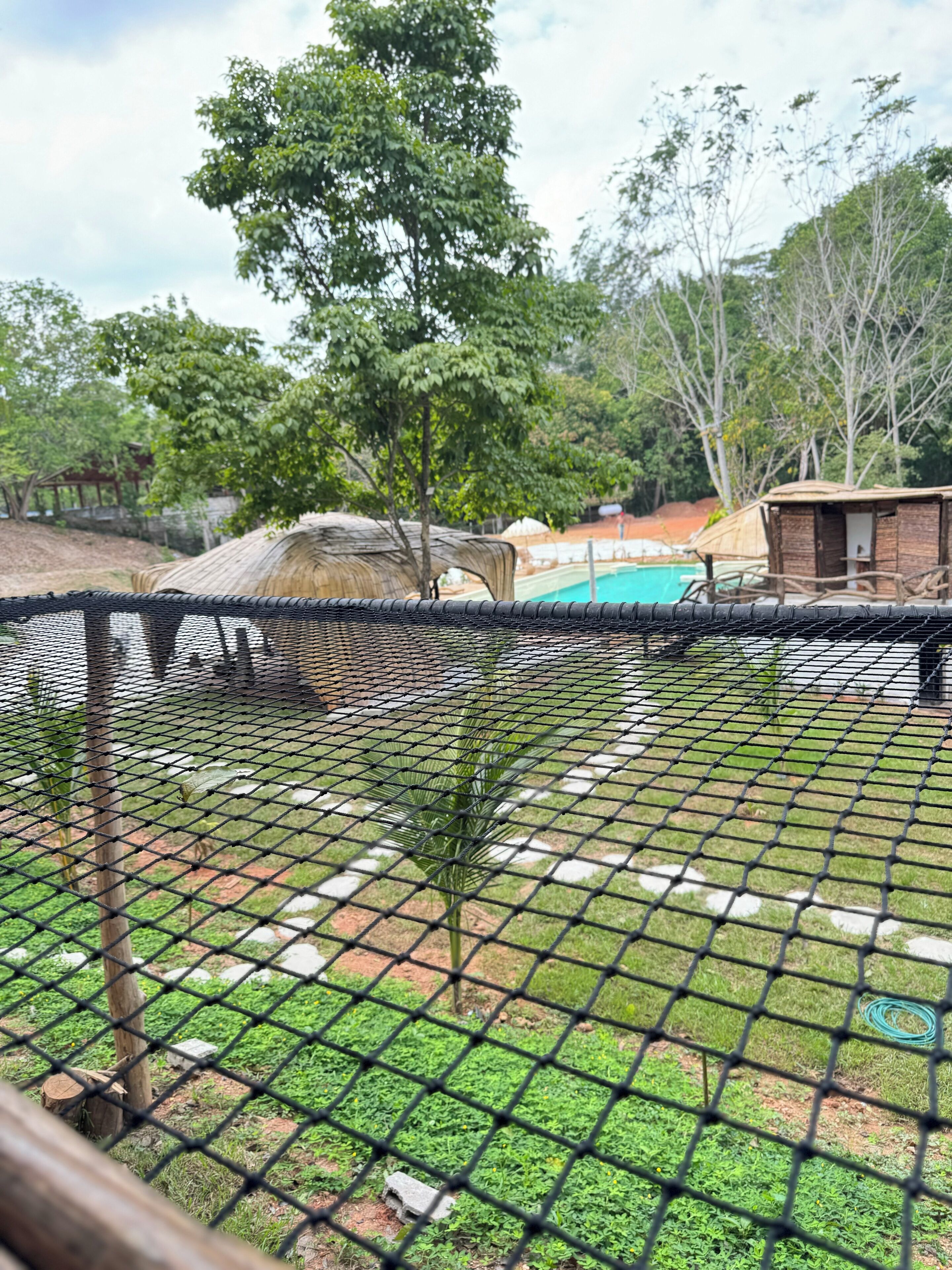 A fenced outdoor area with a pool, trees, and a small building.