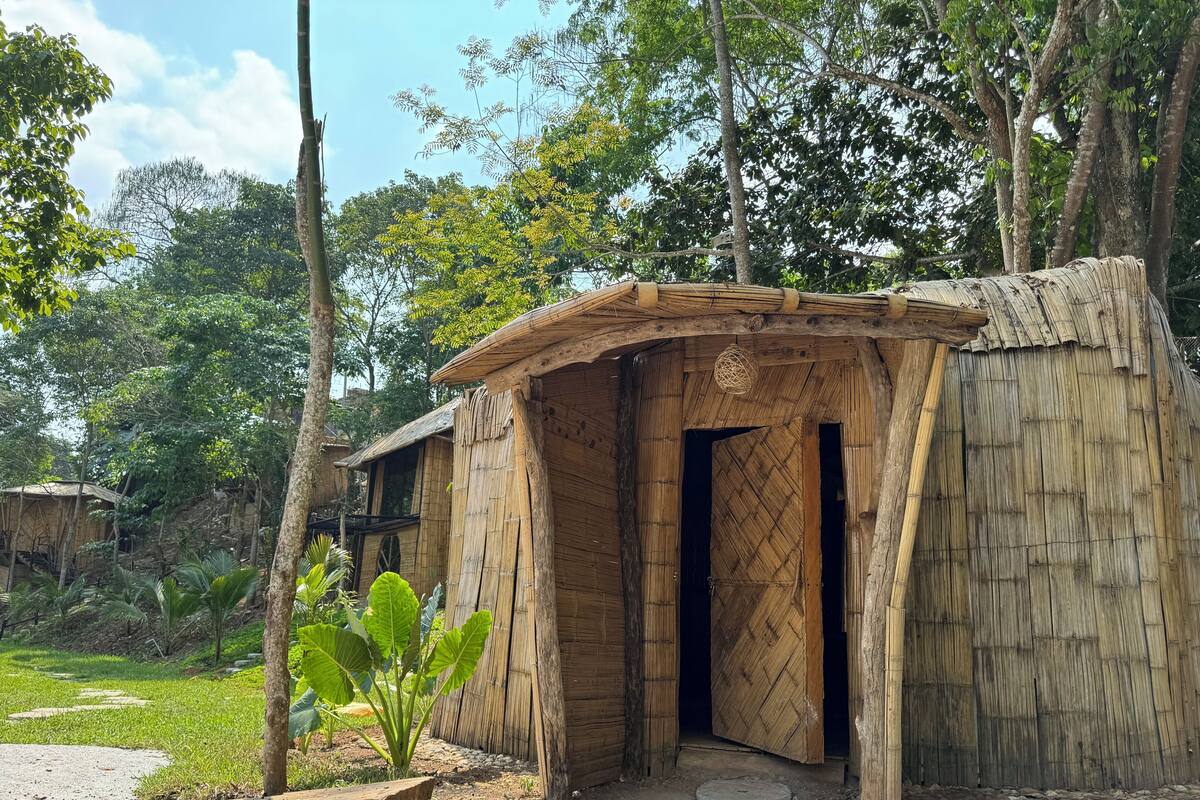 A rustic bamboo hut with a thatched roof, surrounded by lush greenery and trees.