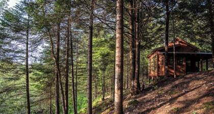 Eco-gîte with panoramic view: La Petite Nyctale
