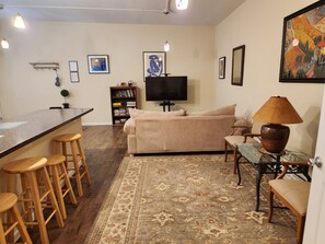 Cozy living space with a kitchenette, sofa, and TV.