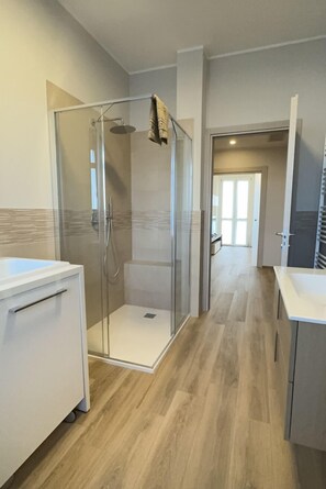 Shower, hair dryer, bidet, towels
