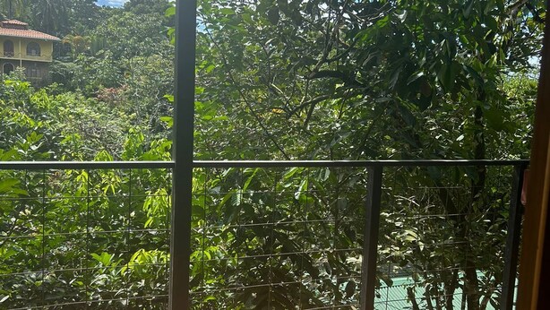 Terrace/patio - Pacific Breeze Lodge (Drake Bay)