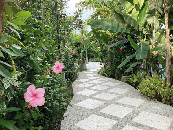 En trädgårdstig omgiven av frodig grönska och stora blad.