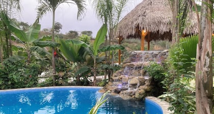 Hotel La Costa International