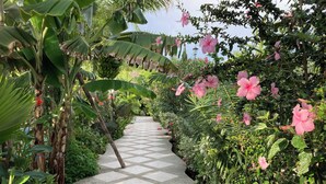 A garden pathway with a geometric tile pattern, surrounded by lush greenery and pink flowers. - Hotel La Costa International (Salango)