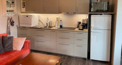 4 Star Holiday Home in Vingaker