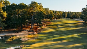Um campo de golfe com um caminho bem definido, armadilhas de areia e árvores ao fundo.