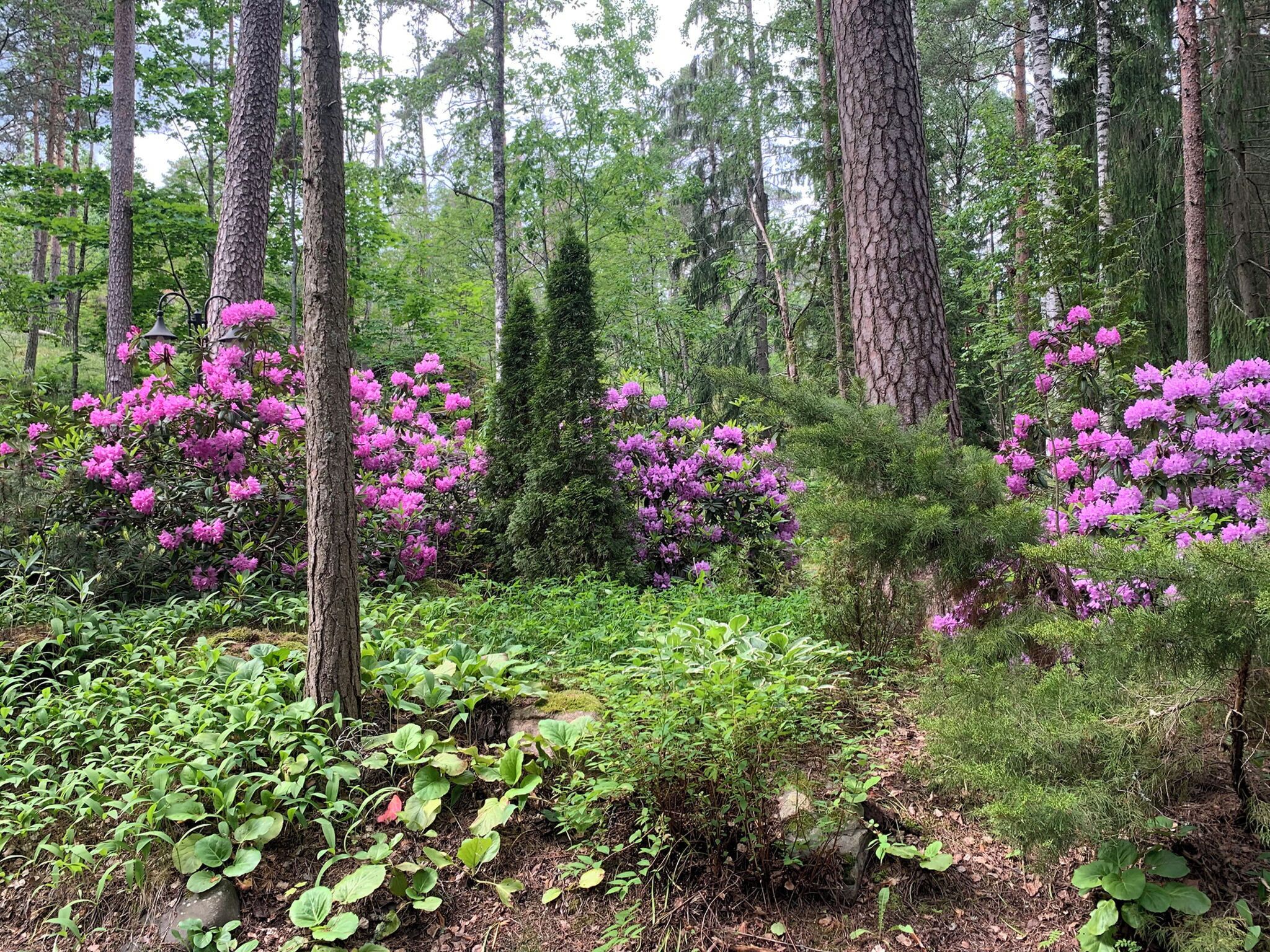 Áreas de la propiedad