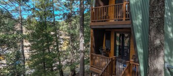 "Birds of a Feather" 2/2 Mountain Chalet, 2 miles to Cloudcroft, Pet Friendly