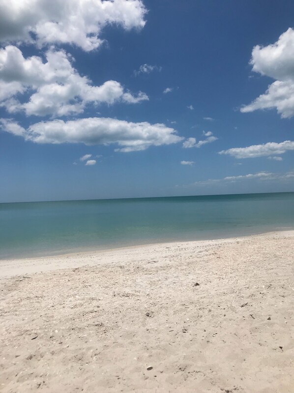 Chaises longues, serviettes de plage