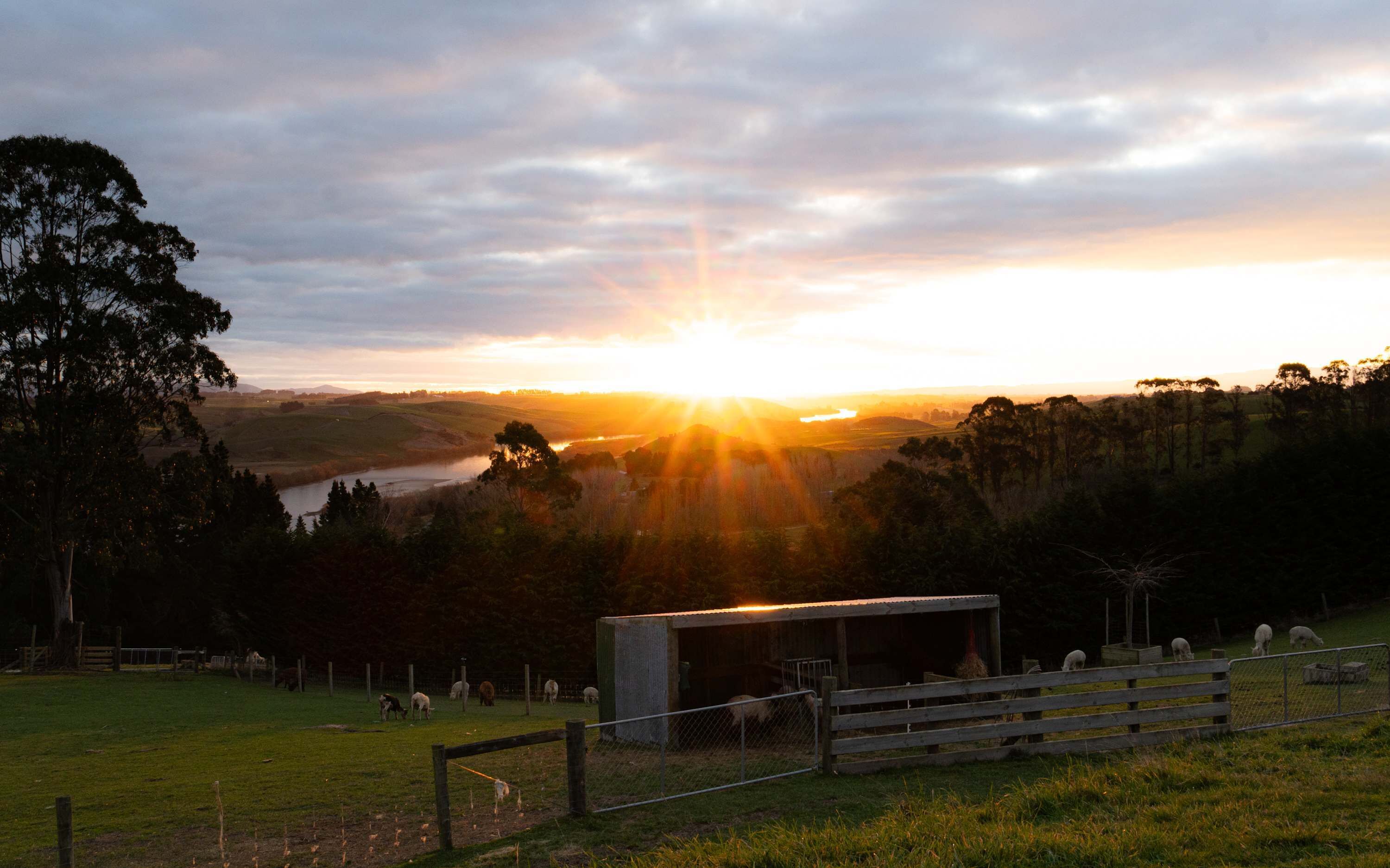 Ländliche Landschaft mit Sonnenuntergang, ein eingezäuntes Feld mit Schafen und ein kleines Schutzhaus.