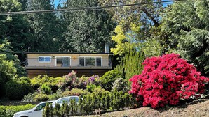 A residential building with a balcony, surrounded by lush greenery and a large red flowering bush.