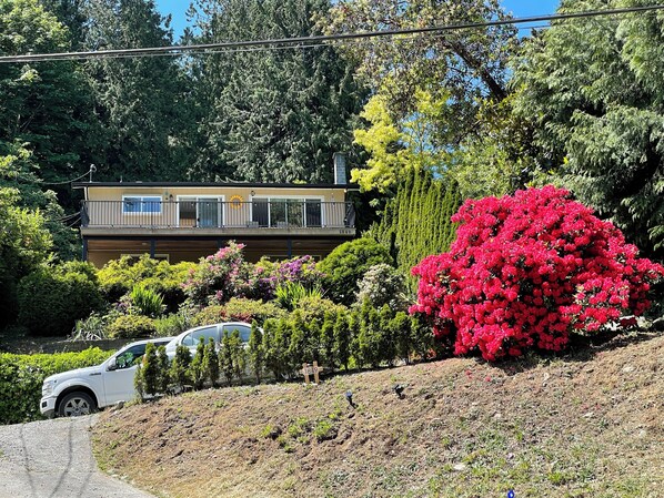 Un edificio residencial con balcón, rodeado de abundante follaje y un gran arbusto rojo con flores.