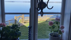 Une fenêtre donnant sur un lac paisible, une terrasse en bois et des plantes en pot.