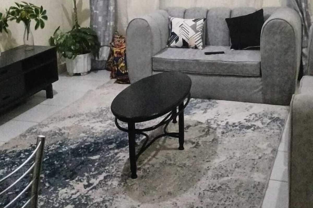 A living room with a grey sofa, a black coffee table, a patterned rug, and a potted plant.