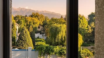 A view through a window of a residential area with a mountain backdrop, a well-maintained garden, and a clear sky.