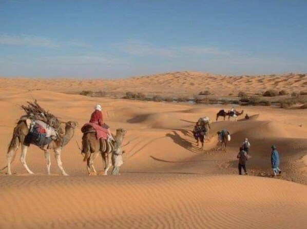 Paisaje desértico con dunas de arena y camellos.