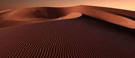 Paisaje desértico con dunas de arena y una luna creciente en el cielo.