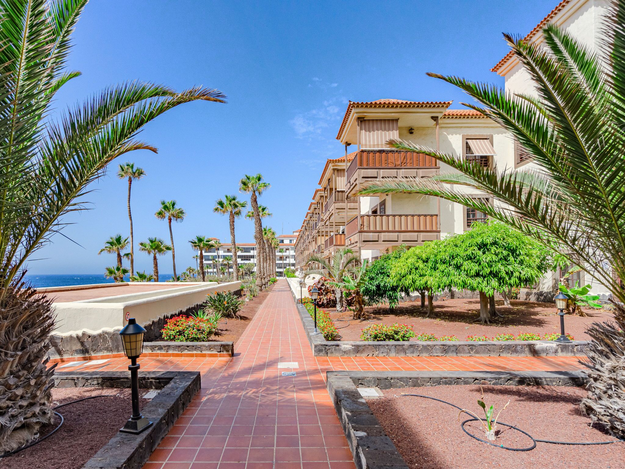 Un sentier bordé de palmiers et un bâtiment doté de balcons, qui mènent à une plage.