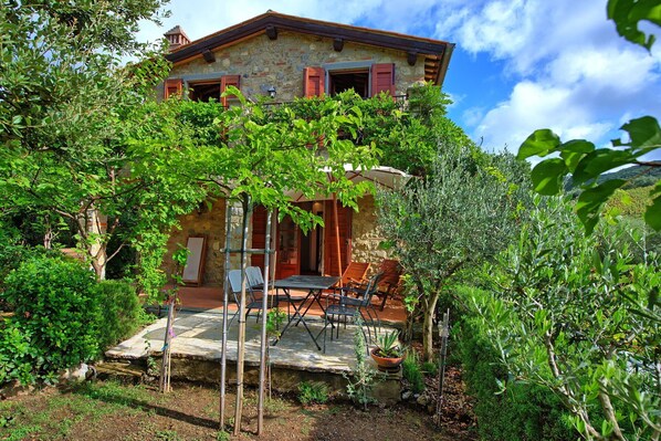 تناول الطعام بالخارج