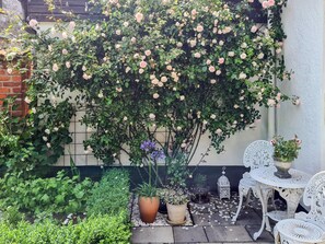 A garden with a rose bush, potted plants, and white metal chairs. - 5 Star Holiday Home in Simrishamn (Simrishamn)