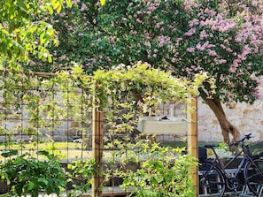 A garden with a trellis, a bicycle, and a stone wall.