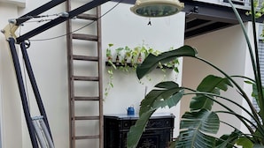 A corner of a room with a black cabinet, a white wall with hanging plants, a ladder, and a floor lamp. - OMA Residence (Pavia)