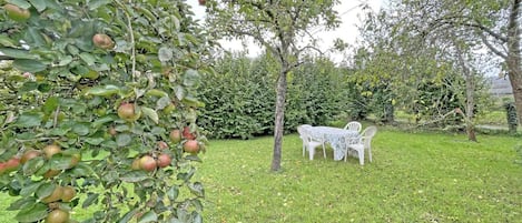 Opções para refeição ao ar livre