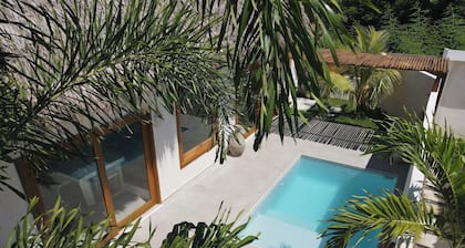 MAHALO Charming 2-bedroom Villa Palmera on the beach with Pool, AC and Starlink!