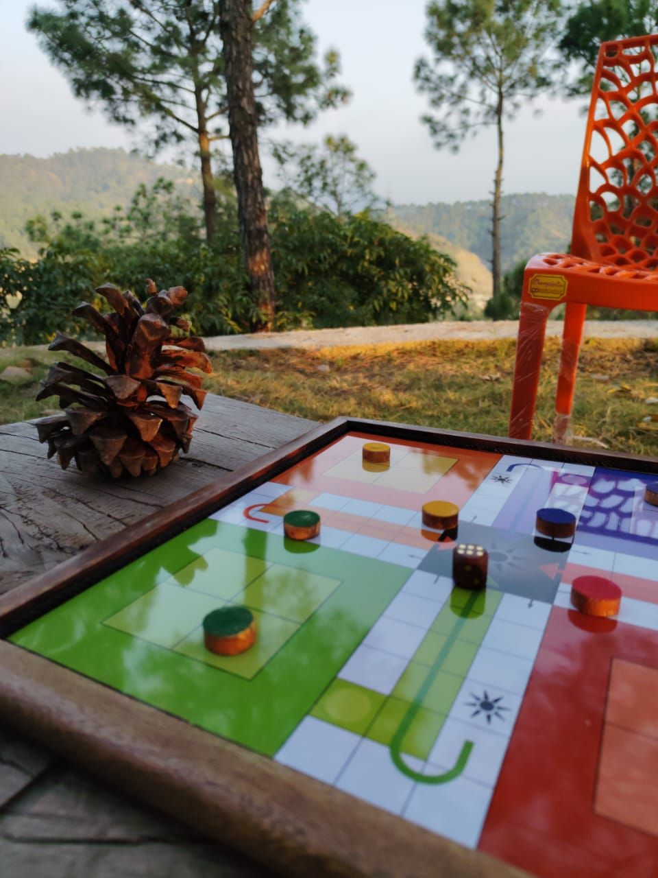A board game on a wooden table outdoors with a pine cone decoration, a chair, and a scenic background.