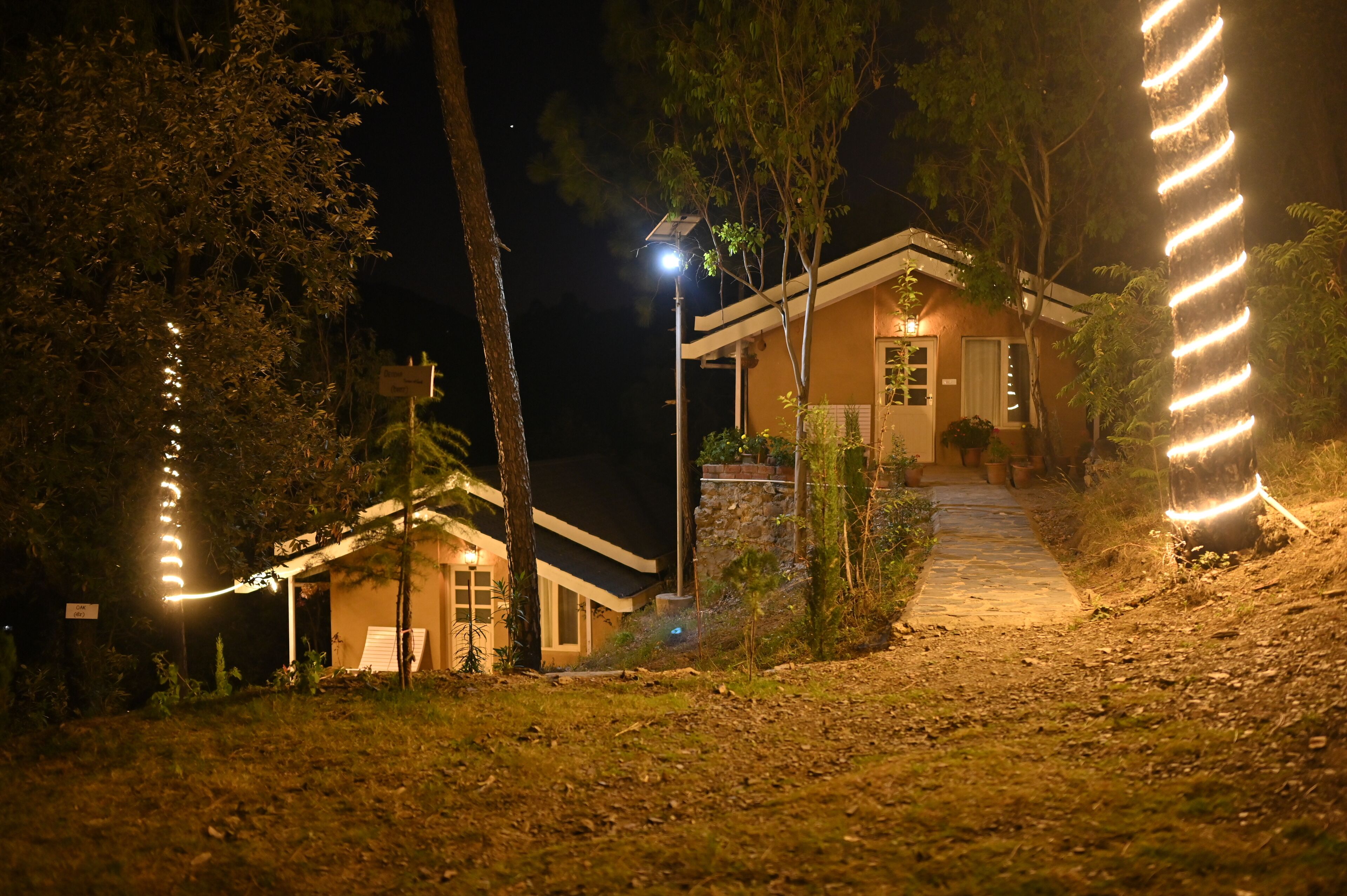 A house with a pathway leading to the entrance, surrounded by trees and illuminated by string lights.