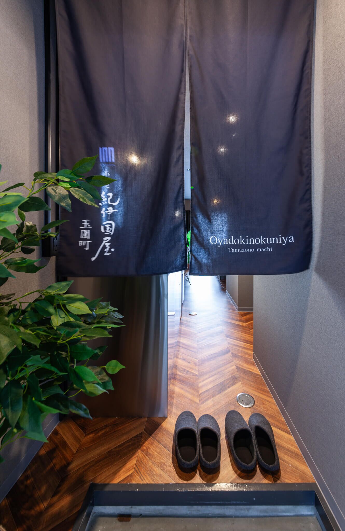A hallway with a wooden floor, a potted plant, and a pair of slippers.