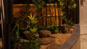 A staircase with a wooden railing and a small garden area with rocks and plants. - Oyadokinokuniya tamazonomachi (Nagasaki)
