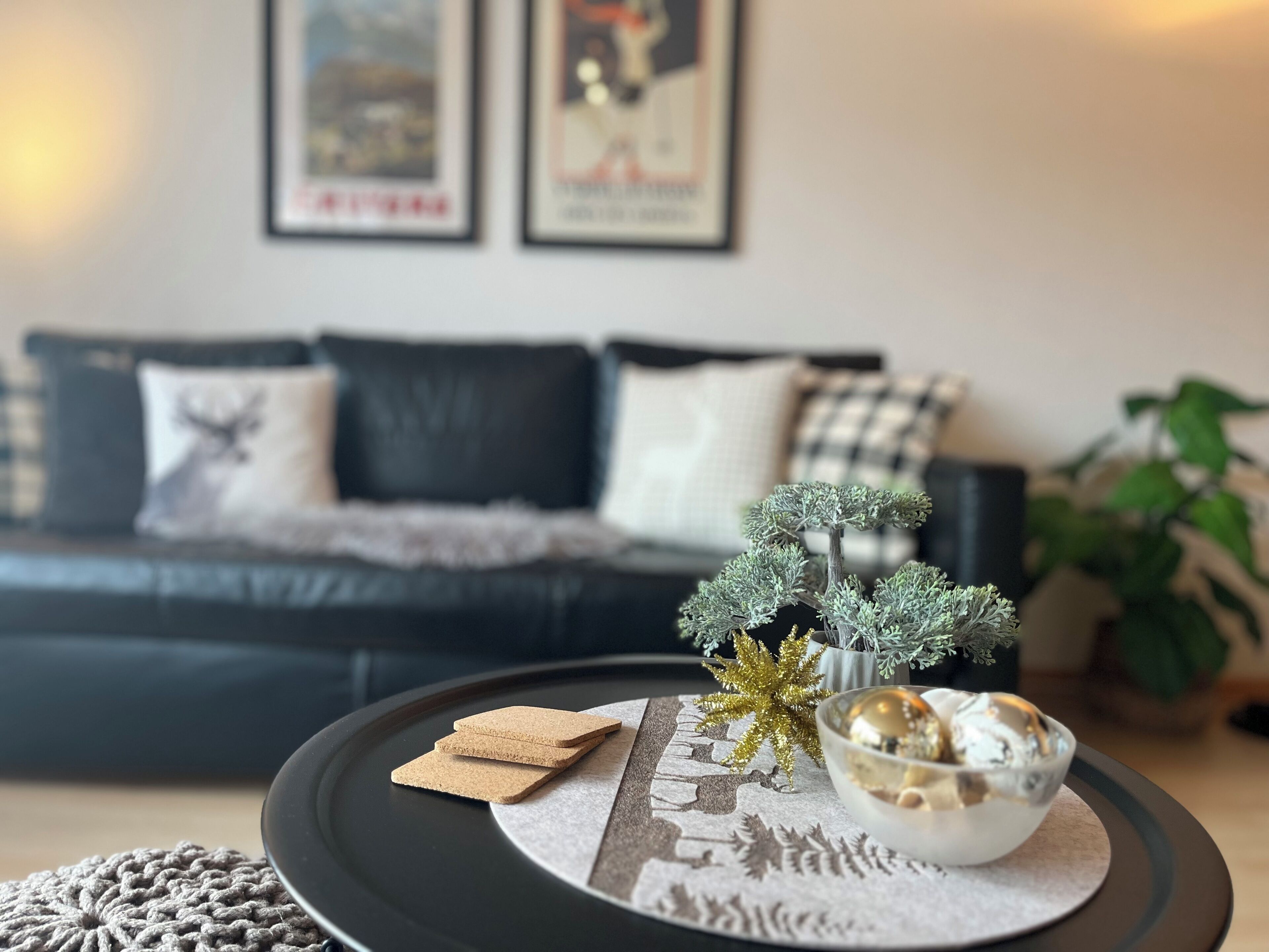 TV, DVD player, books