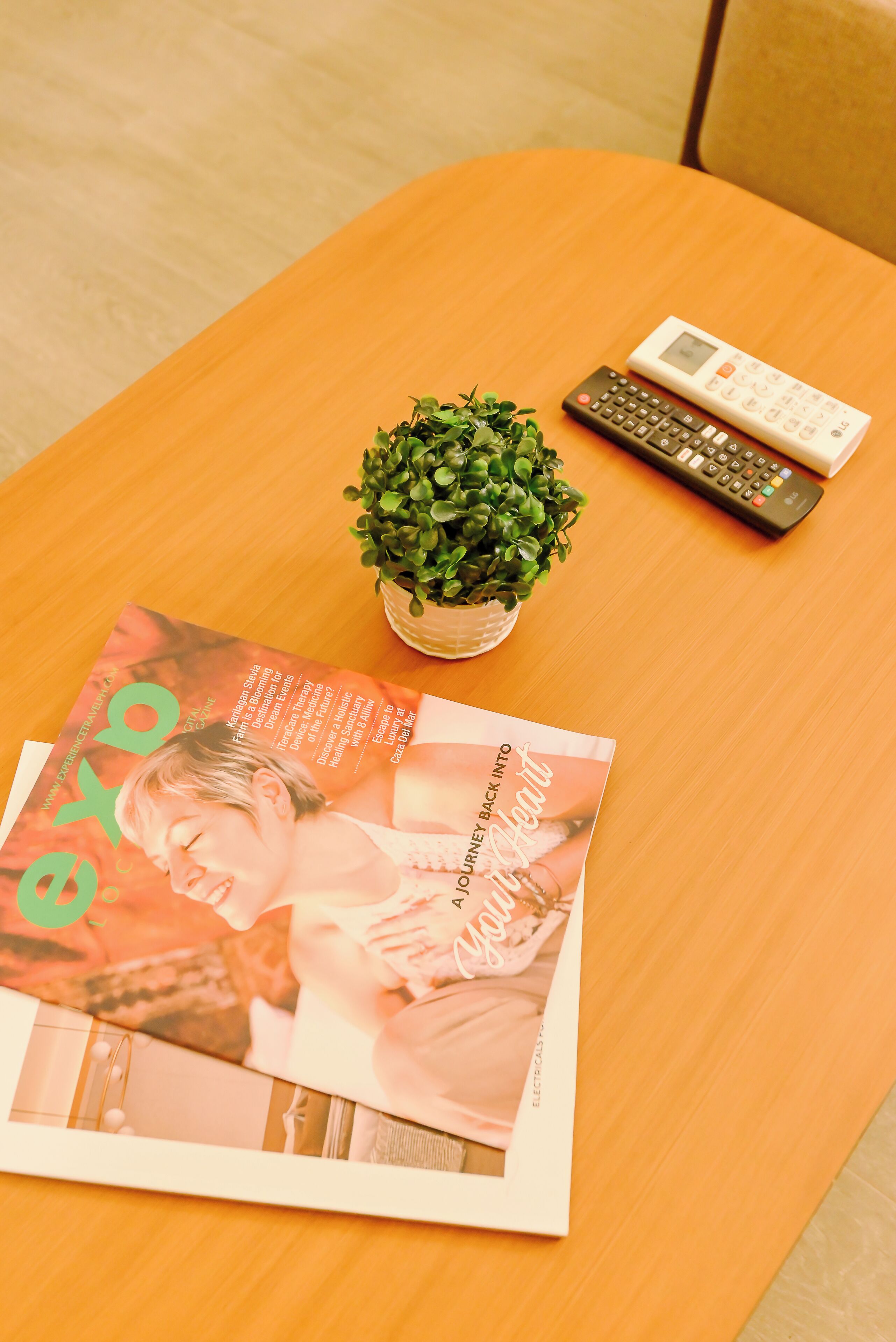 Una revista, un control remoto y una pequeña planta en maceta sobre una mesa de madera.