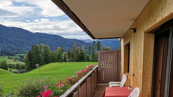 House | Property grounds